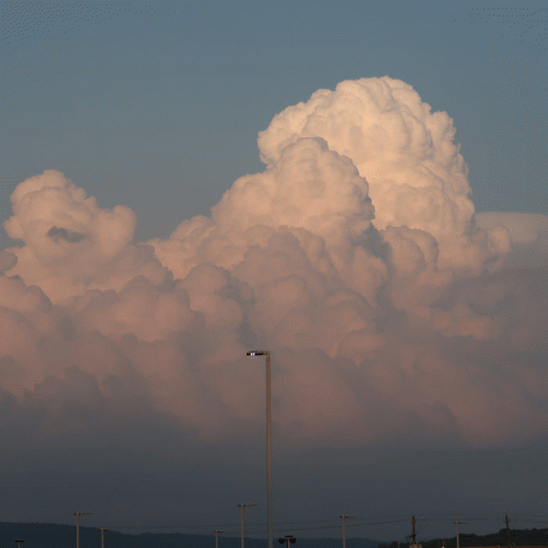 Desolate (USA-2) : Karoshi